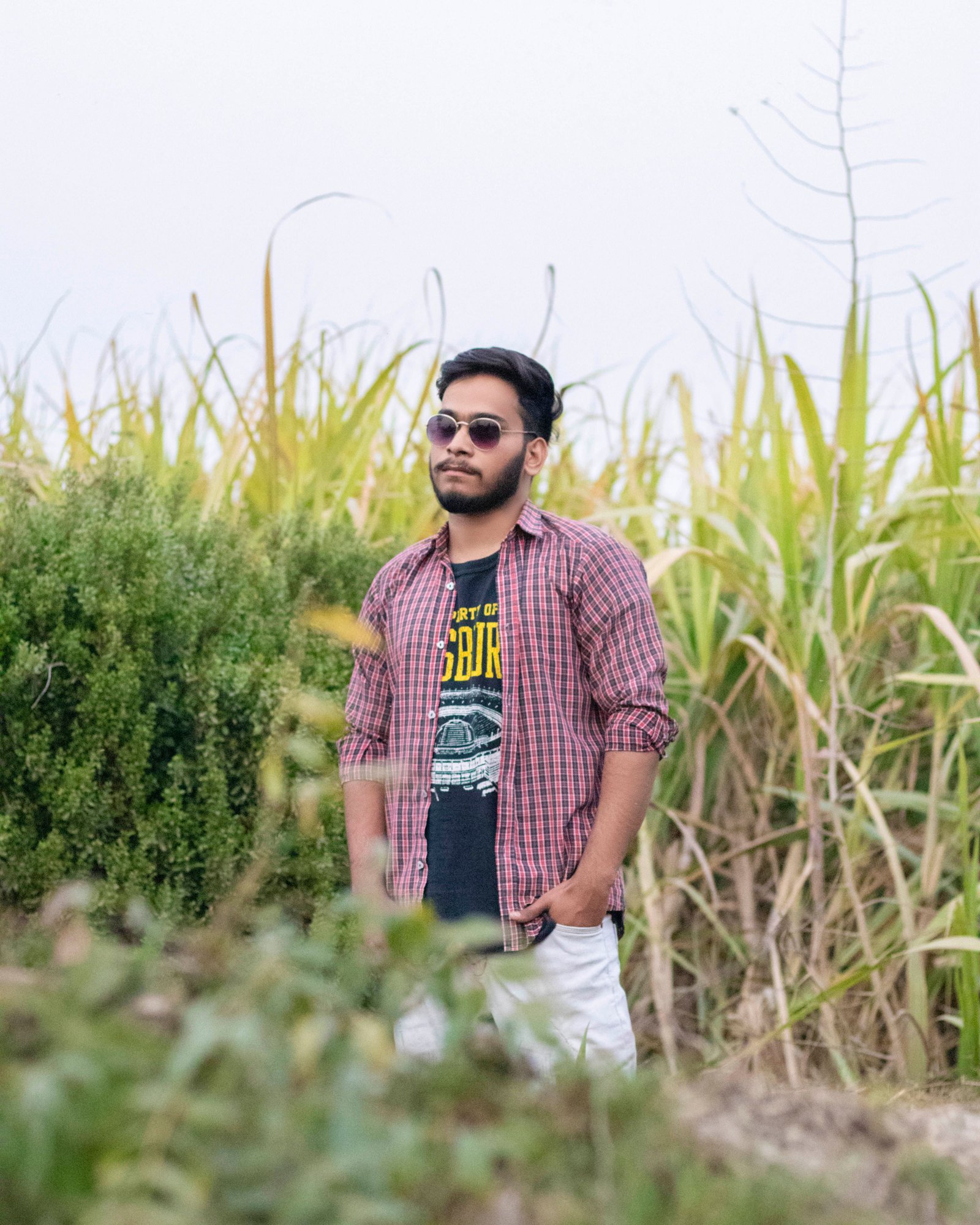 Sohel